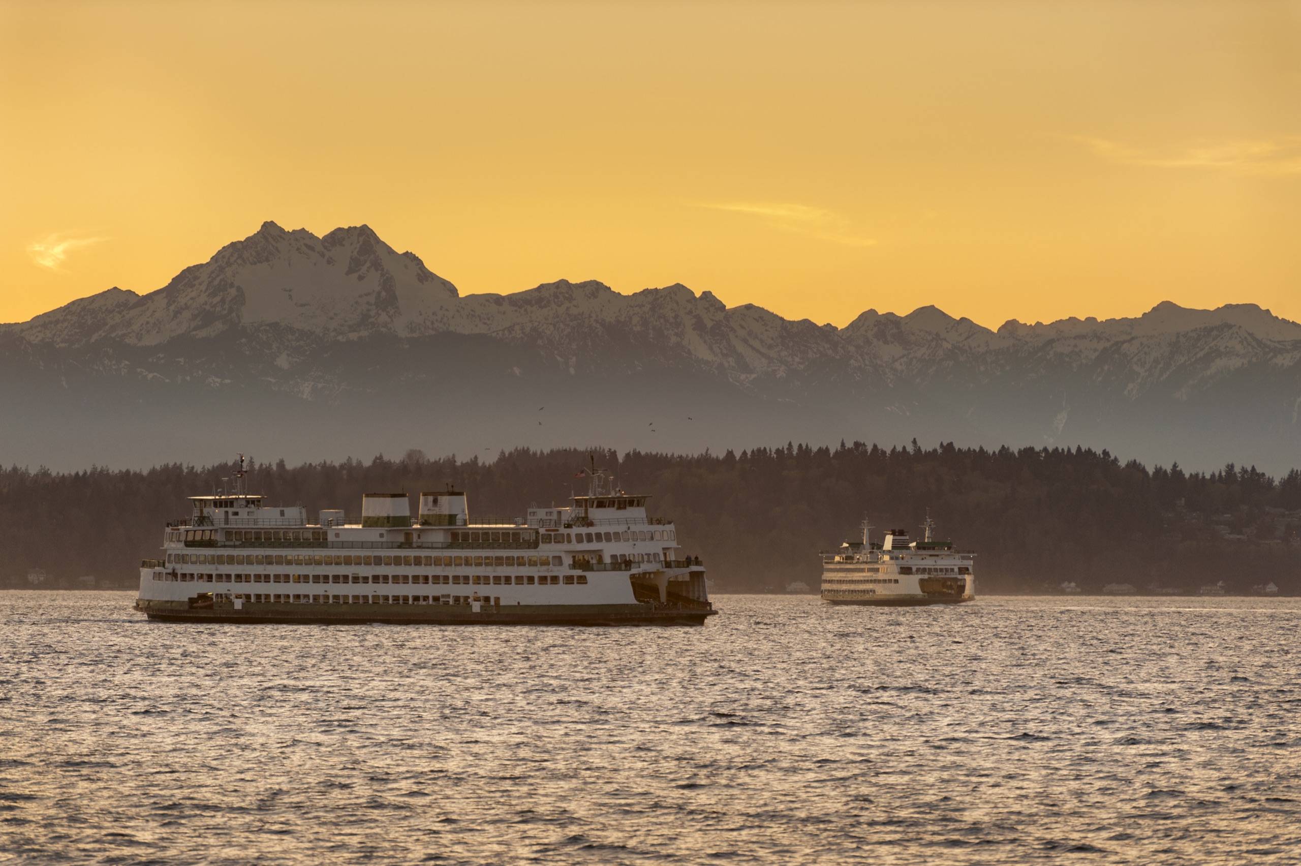 Olympic Mountain range